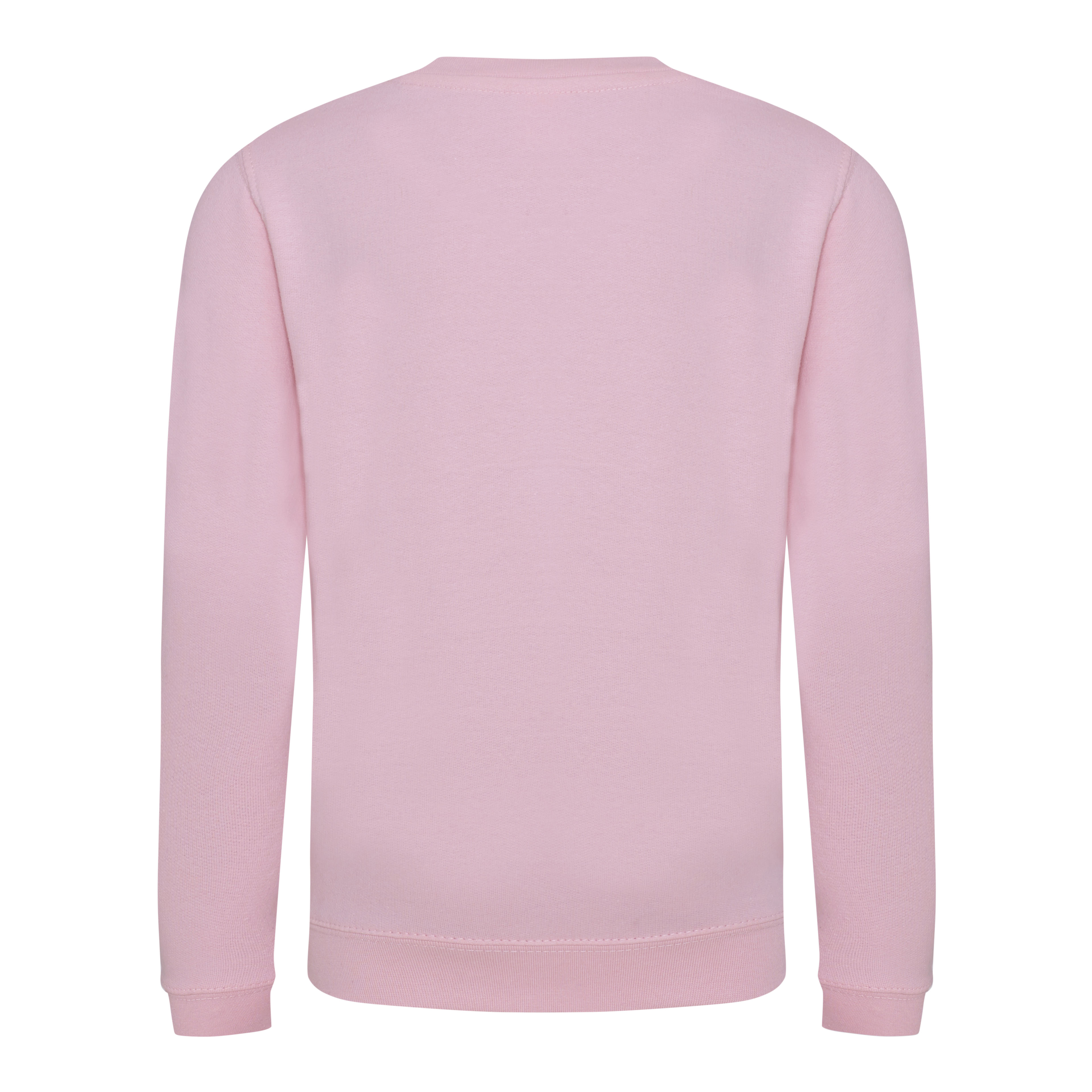 Rabatt 94 % Tenth sweatshirt KINDER Pullovers & Sweatshirts Sport Rosa/Weiß 6Y 
